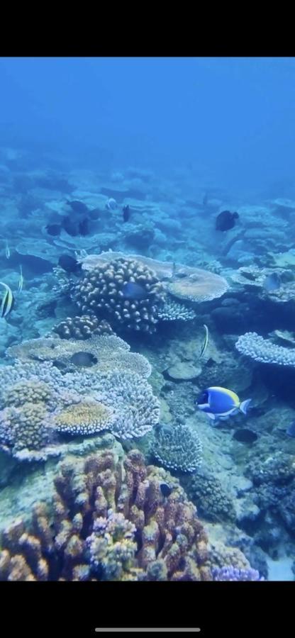 Seagate Bungalows Sabang  Luaran gambar